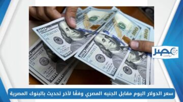 سعر الدولار اليوم مقابل الجنيه المصري USD/EGP وفقًا لأخر تحديث بالبنوك المصرية