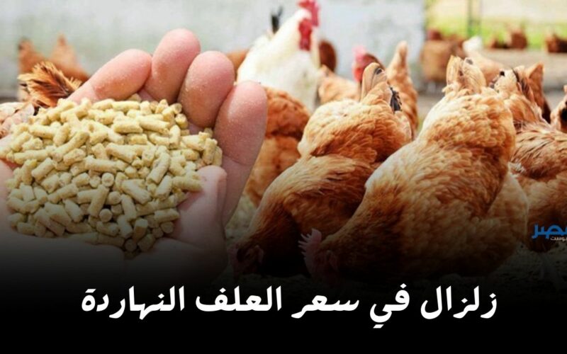 توفير كميات.. شوف سعر العلف اليوم الثلاثاء 30 أبريل في السوق بكام